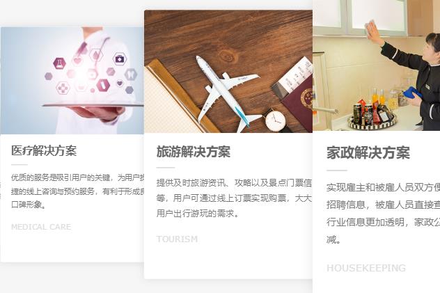 APP开发
